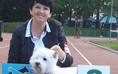 XXVII Międzynarodowa Wystawa Psów Rasowych (CACIB)