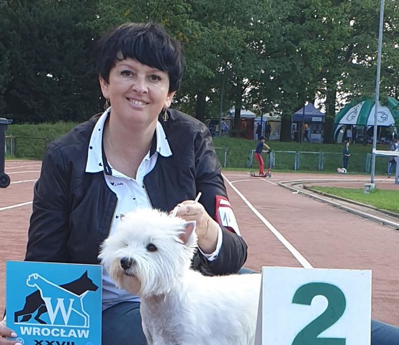 XXVII Międzynarodowa Wystawa Psów Rasowych (CACIB)