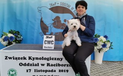 27 Krajowa Wystawa Psów Rasowych Zakrzów (CAC)