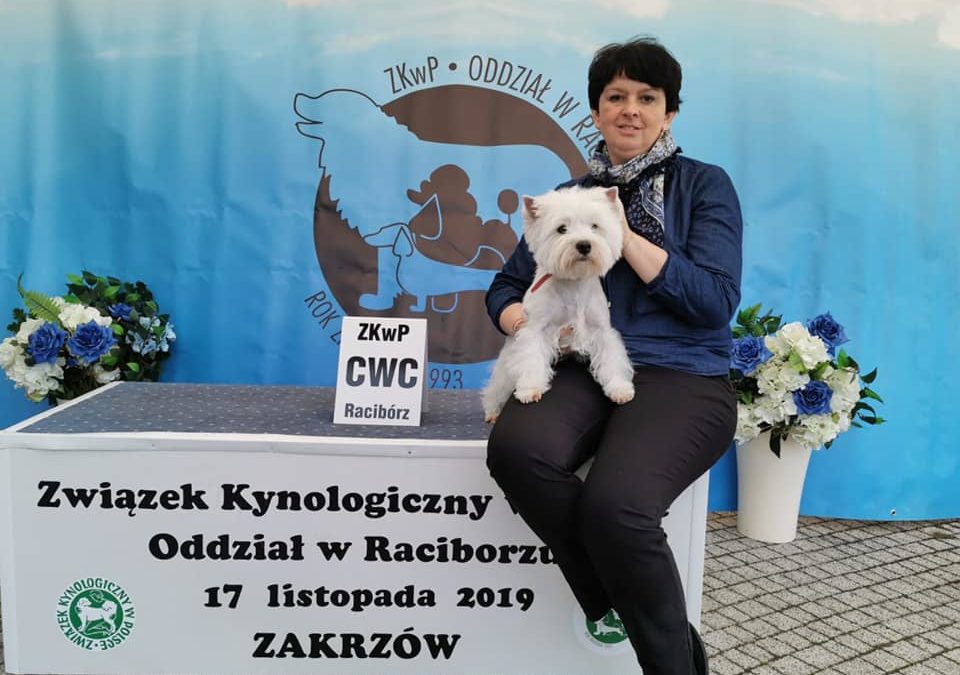 27 Krajowa Wystawa Psów Rasowych Zakrzów (CAC)
