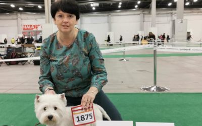 XVI Międzynarodowa Wystawa Psów Rasowych/ International Dog Show