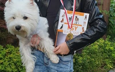 XXIX Podkarpacka Wystawa Psów Rasowych