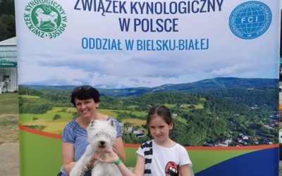 I Międzynarodowa Wystawa Psów Rasowych w Wiśle