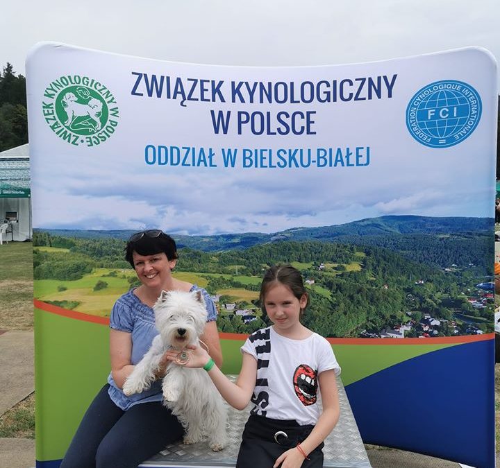 I Międzynarodowa Wystawa Psów Rasowych w Wiśle