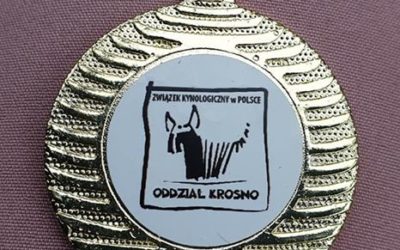 XXVIII Podkarpacka Wystawa Psów Rasowych