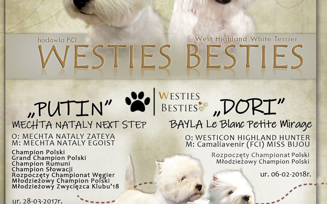 Odliczamy już dni w naszej Hodowli Westies Besties :)