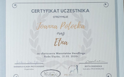 Szkolenie – Handling z Edytą Ossowską