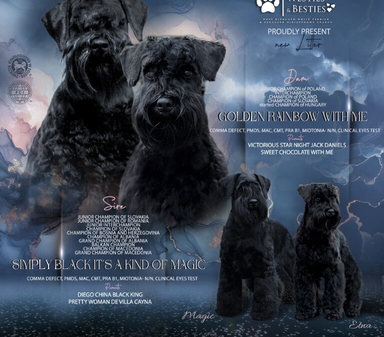 Zaczynamy odliczanie